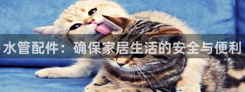 天辰 娱乐 注册