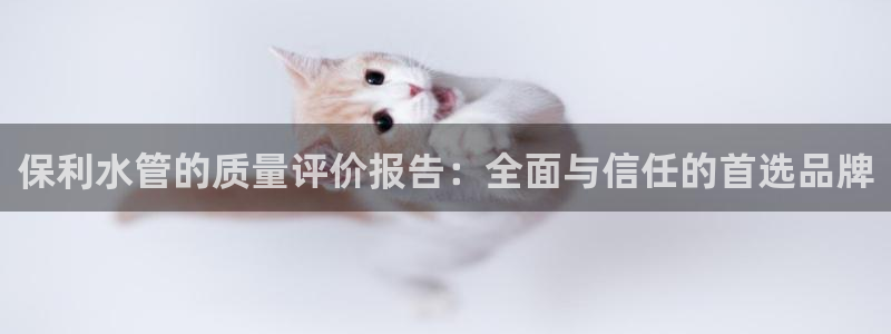 天辰娱乐1956