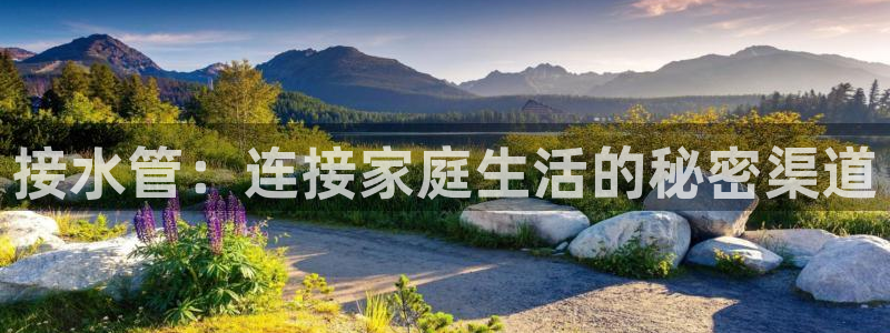 天辰娱乐内部