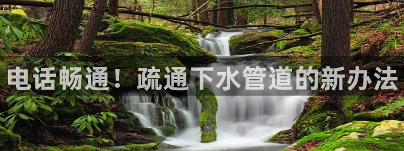 天辰娱乐黑人