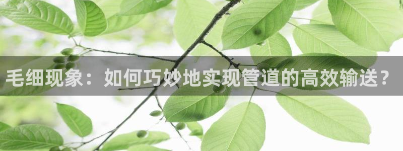 天辰娱乐官方