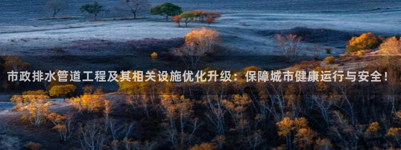 天辰娱乐天辰宝