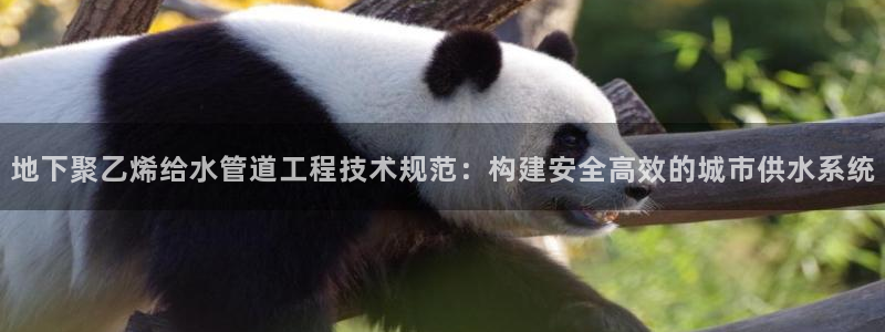 天辰娱乐登录网址