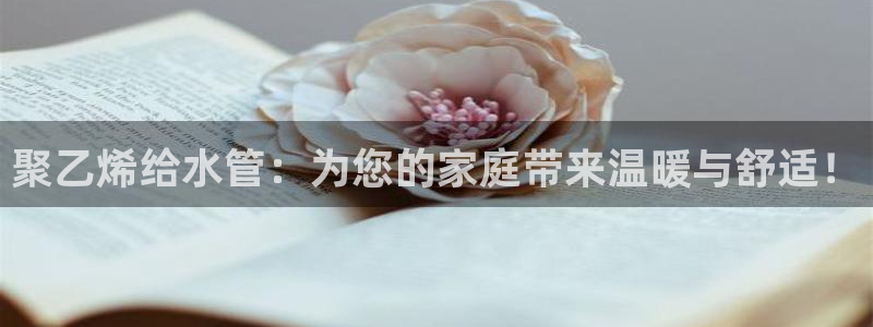 天辰水娱乐