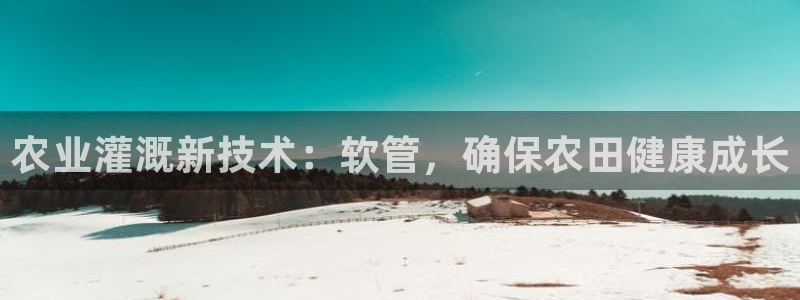 天辰娱乐1980