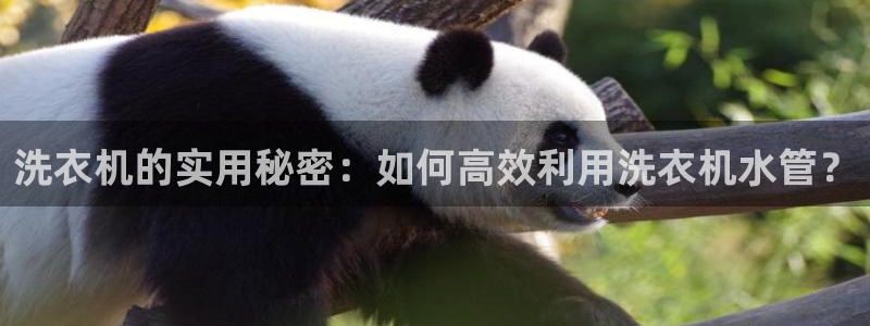 天辰娱乐好吗
