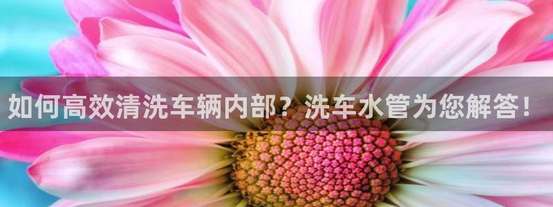 天辰团队贝高娱乐