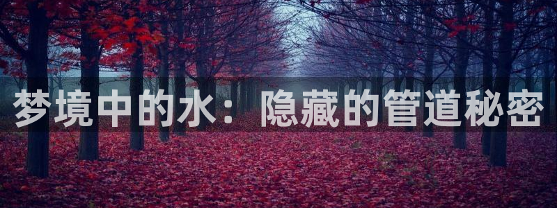 天辰天辰娱乐
