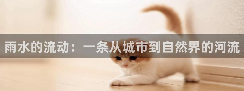 菲律宾天辰娱乐