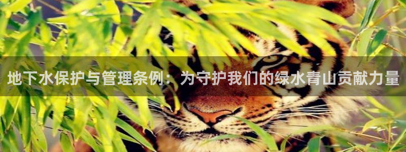 大同天辰娱乐