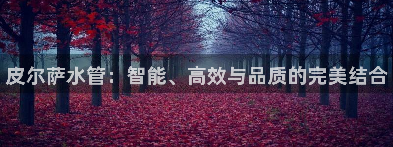 天辰2娱乐