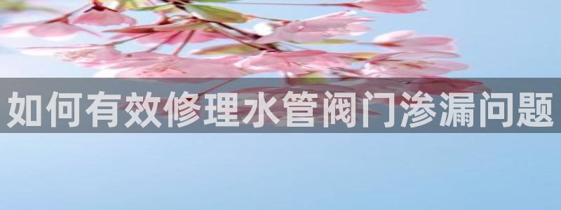 天辰国际娱乐