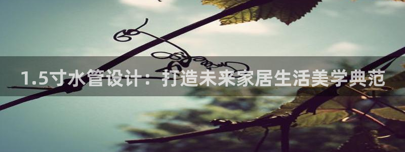 天辰娱乐下载