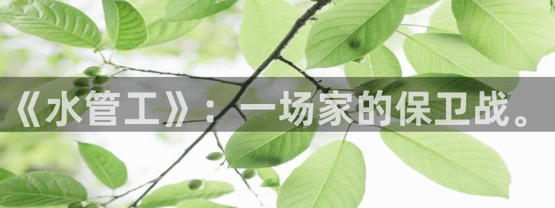 天辰娱乐675138
