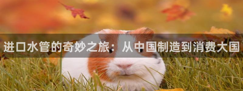 天辰线上娱乐
