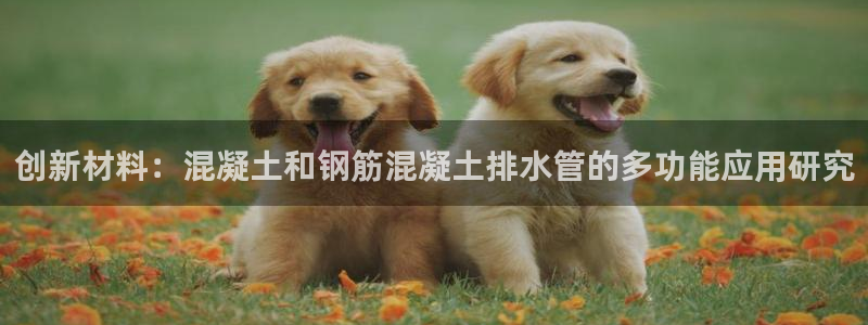 天辰娱乐入口
