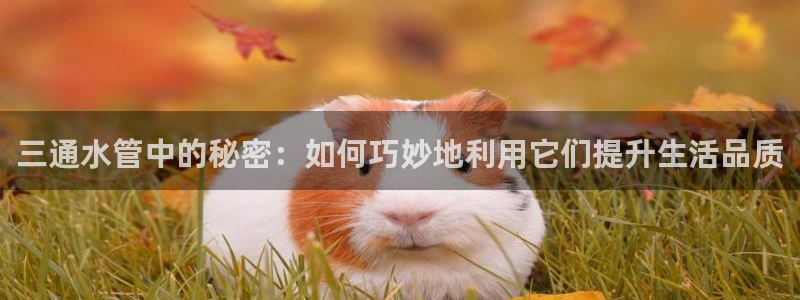 天辰 娱乐 注册