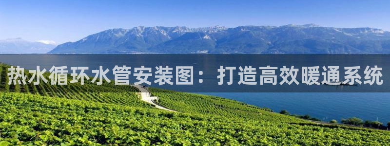 天辰娱乐网址娱乐游戏