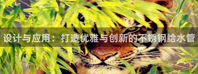 天辰娱乐平台测速