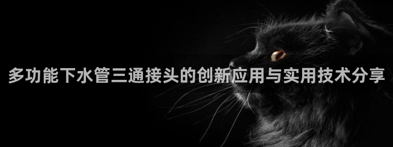 天富娱乐天辰娱乐