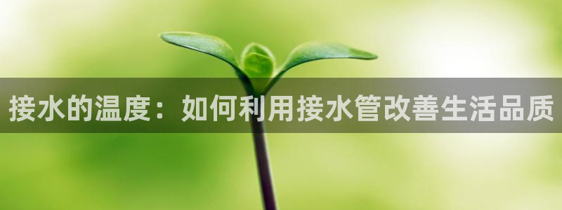 天辰娱乐60447