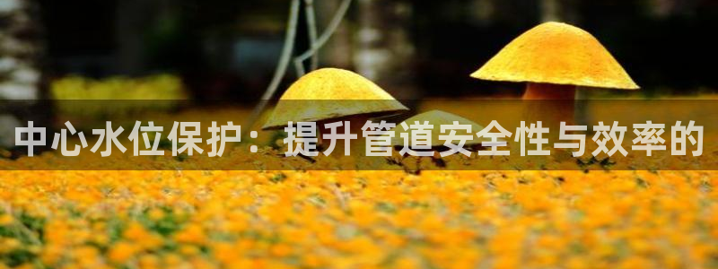 天辰娱乐平台安全吗