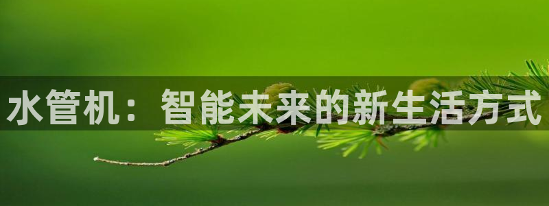 天辰娱乐 231639