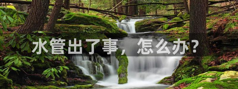 天辰娱乐所