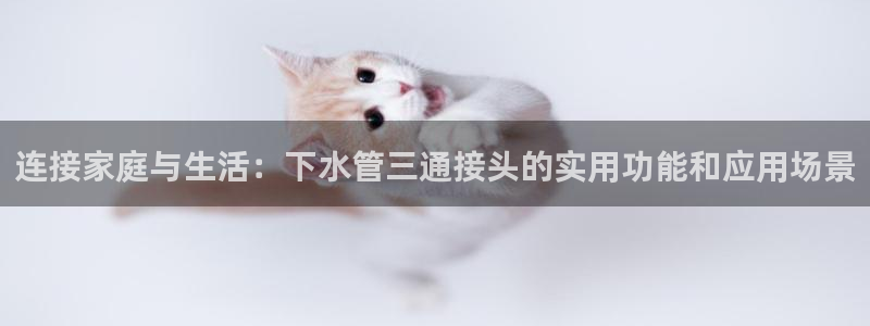 天辰娱乐路线
