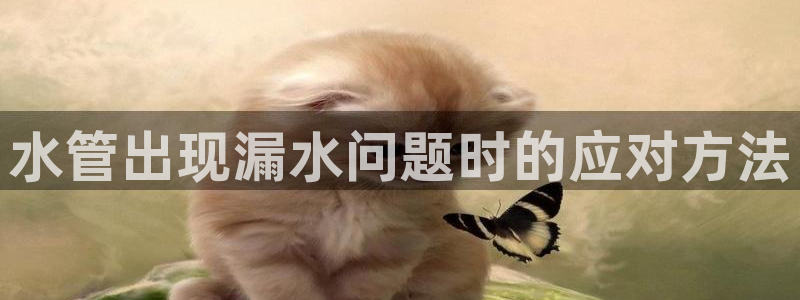 天辰娱乐 231639