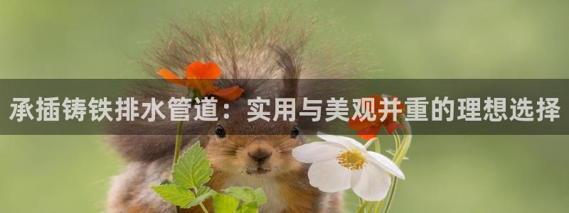 天辰娱乐官网平台下载