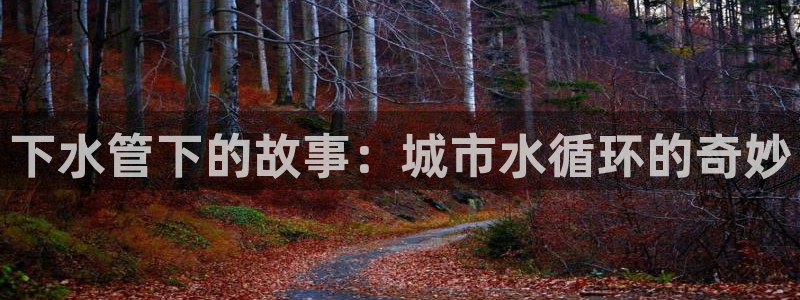 天辰娱乐登录测试