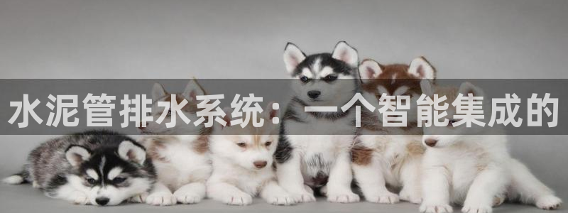 天辰娱乐44516