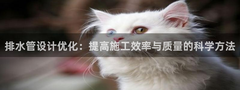 天辰娱乐网址娱乐游戏