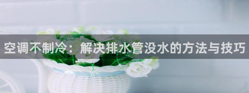 天辰娱乐 44516