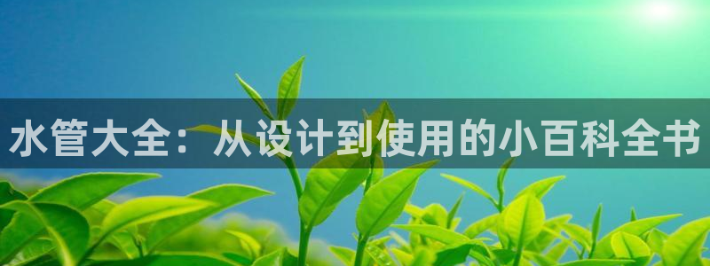 天辰娱乐游客