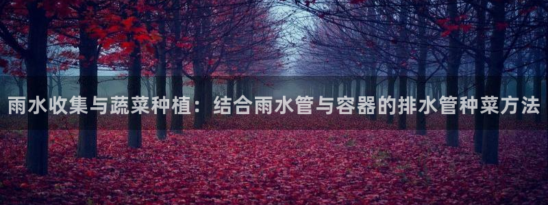 天辰娱乐黑人