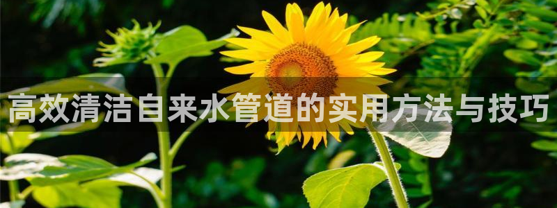 天辰娱乐网