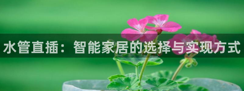 集宁天辰娱乐