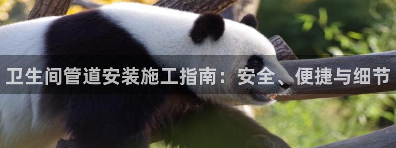 天辰娱乐白屏