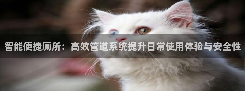 天辰娱乐1996