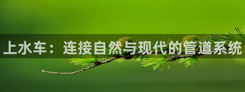 天辰娱乐简介