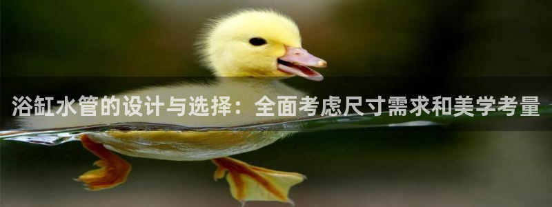 天辰娱乐 主管