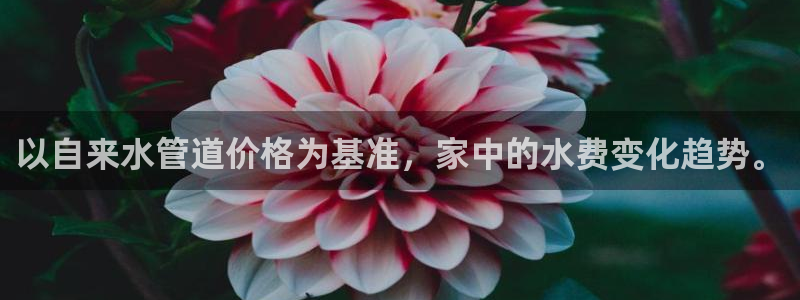 天辰娱乐分红