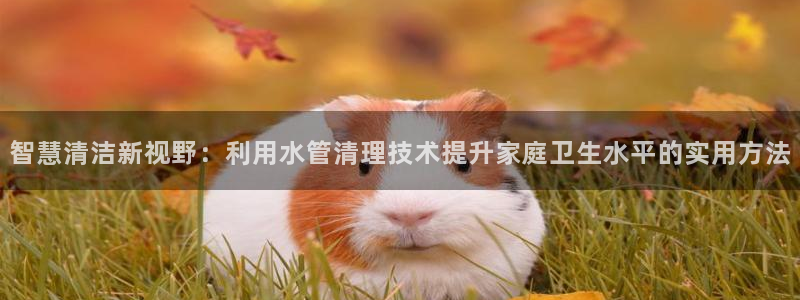 天辰娱乐 主管