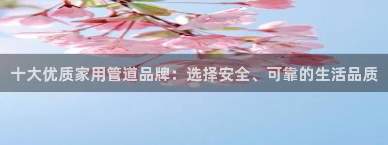 天辰娱乐简介