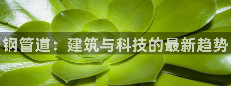 天辰娱乐内部