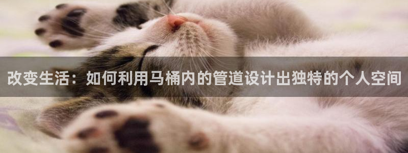 天辰娱乐的网址首页
