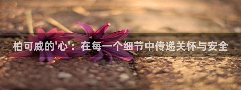 天辰娱乐注册登录