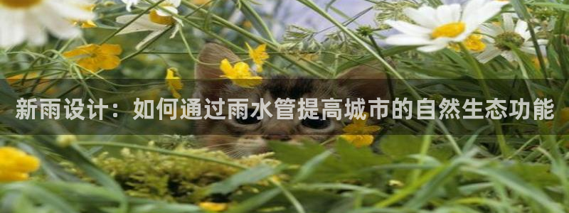 天辰娱乐675138
